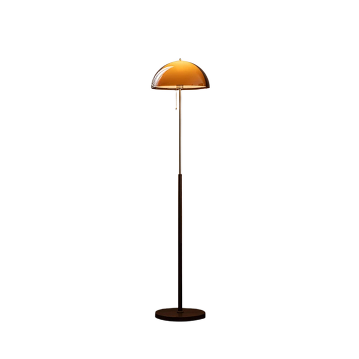 Modern Dark Brown Acrylic Floor Lamp