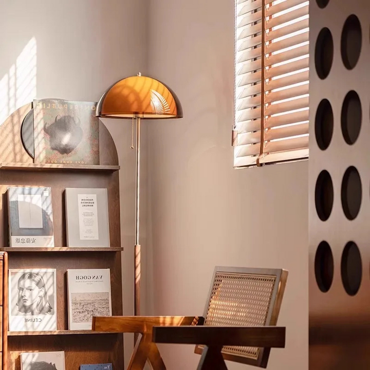 Modern Dark Brown Acrylic Floor Lamp