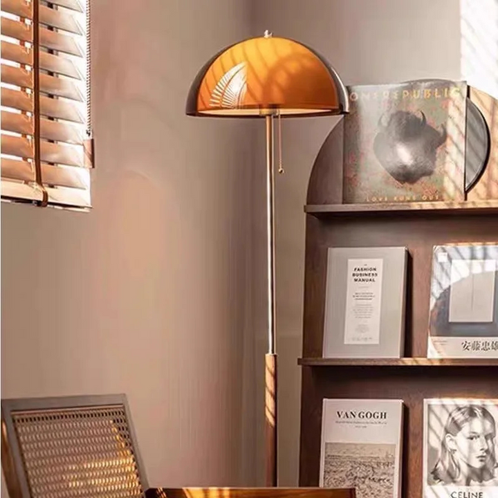 Modern Dark Brown Acrylic Floor Lamp