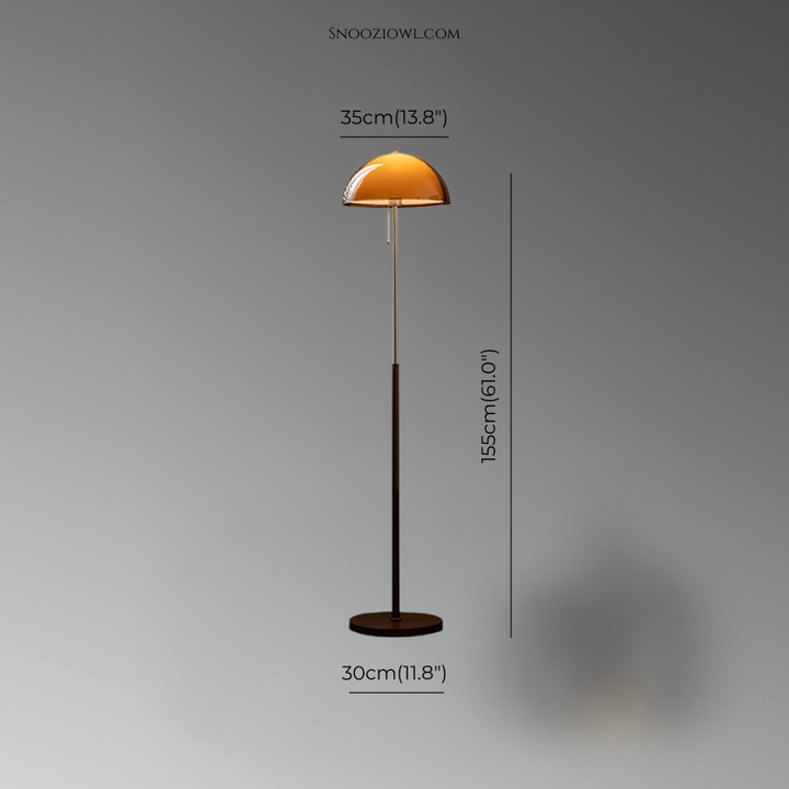 Modern Dark Brown Acrylic Floor Lamp