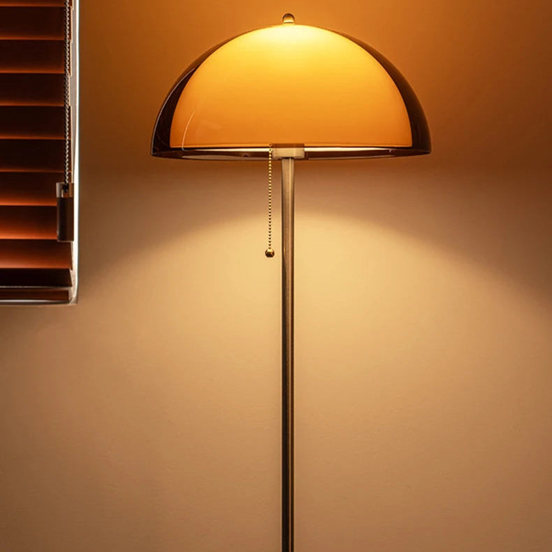 Modern Dark Brown Acrylic Floor Lamp