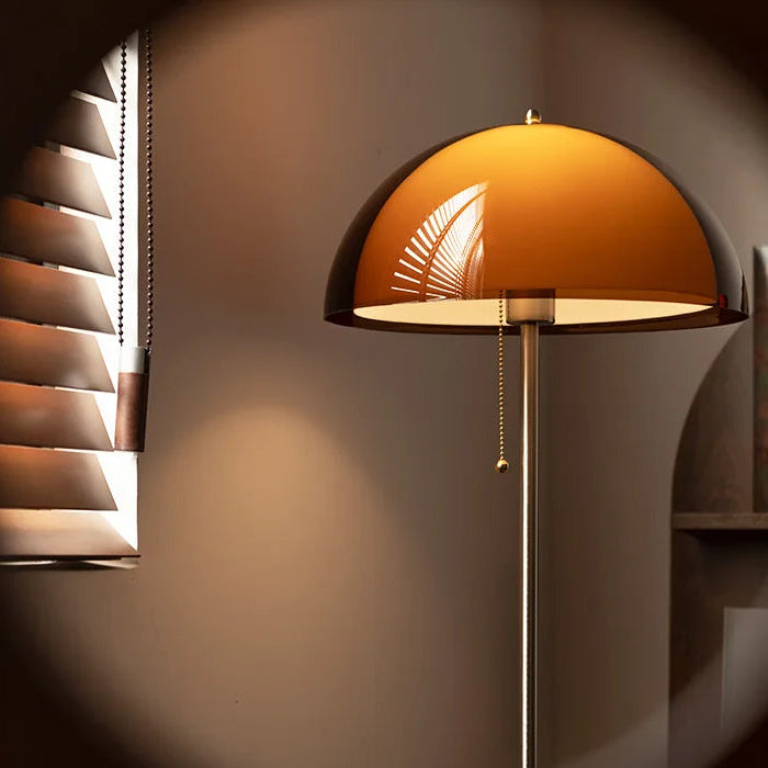 Modern Dark Brown Acrylic Floor Lamp