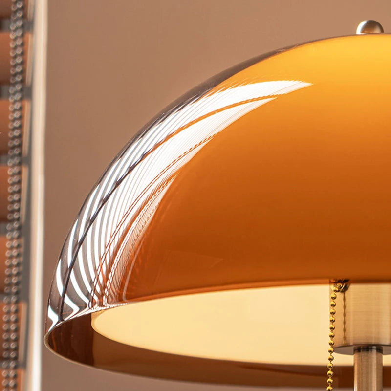 Modern Dark Brown Acrylic Floor Lamp