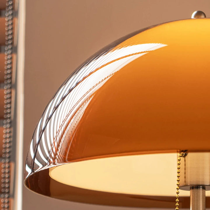 Modern Dark Brown Acrylic Floor Lamp