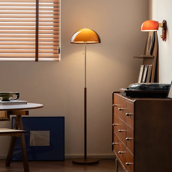 Modern Dark Brown Acrylic Floor Lamp