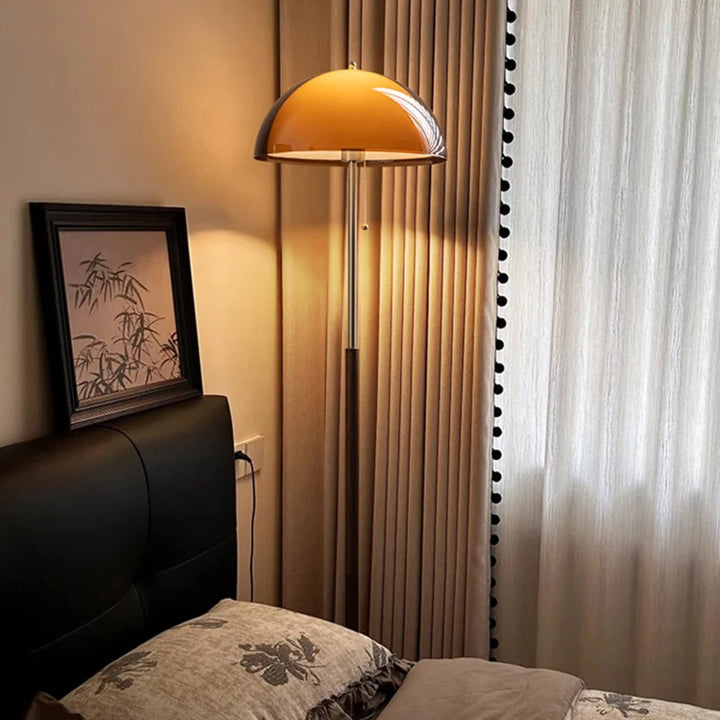 Modern Dark Brown Acrylic Floor Lamp