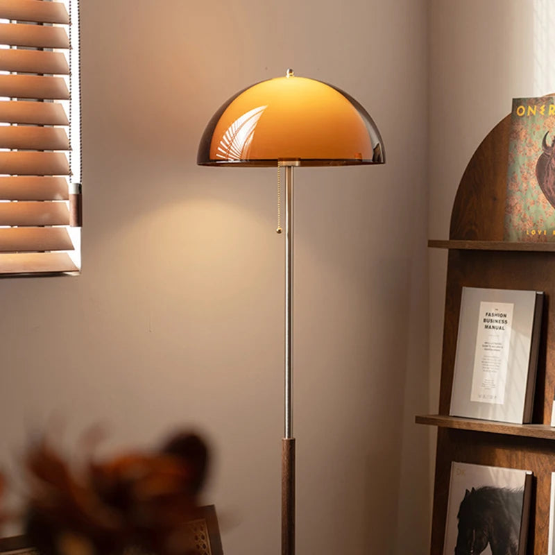 Modern Dark Brown Acrylic Floor Lamp